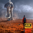 Elephant Live Wallpaper HD 4K APK