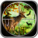 الغابة الحيوانية الصيد 2016