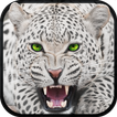 Wild Snow Leopard Survival Sim