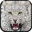 Wild Snow Leopard Survival Sim APK