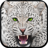 Wild Snow Leopard Survival Sim