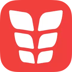 VGFIT ABS APK 下載