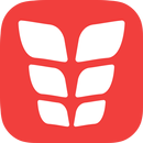 VGFIT ABS APK