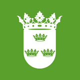 Borriana connecta icon