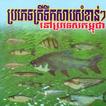 Freshwater Fish In Cambodia