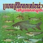 Freshwater Fish In Cambodia icono