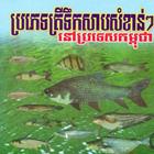 Freshwater Fish In Cambodia icône