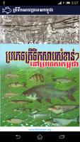 Freshwater Fish In Cambodia Poster