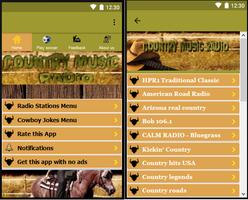 Country music radio stations in the USA Affiche