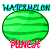 Watermelon Punch