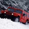 Themen Hummer