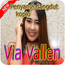 Via Vallen HOT koplo mp3 APK