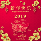 Happy Chinese New Year 2019 icône