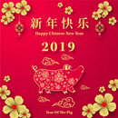 Happy Chinese New Year 2019 APK