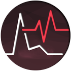 Icona Vibrations & Seismic Meter