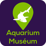 Aquarium Muséum icône