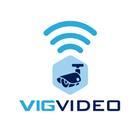 VIGVIDEO 图标