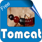 About Tomcat-icoon