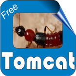 ”About Tomcat