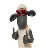 الخروف شون جديد