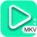 pemutar video mkv untuk android APK