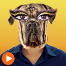 Cat Face Video - Animal Face APK