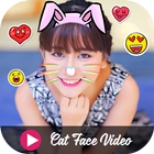 Cat Face Video icône