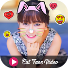Cat Face Video icono