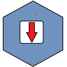 Video Downloader icon