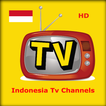 Indonesia HD TV Channels HELP