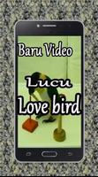 Baru Video Lucu Love Bird Ekran Görüntüsü 1