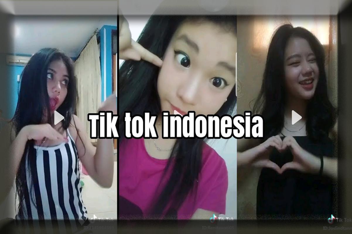Video Terbaik Dari Tik Tok For Android APK Download