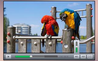 UHD Video Player captura de pantalla 1