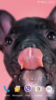 برنامه‌نما Cute Puppies Live Wallpaper عکس از صفحه