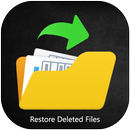 restore deleted files APK