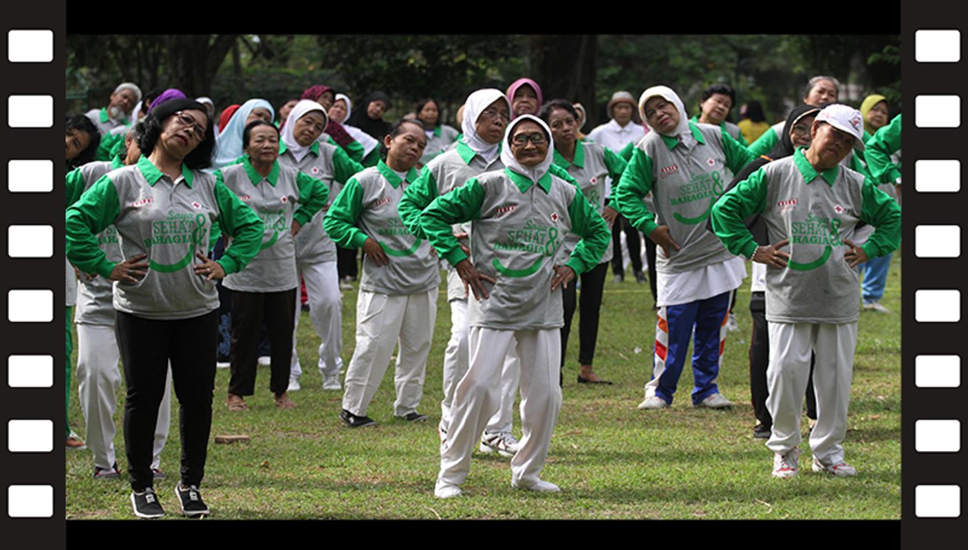 gerakan senam lansia download Senam lansia senam sehat for android apk download.