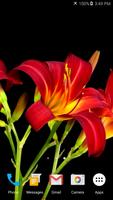 برنامه‌نما Blooming Flower Live Wallpaper عکس از صفحه
