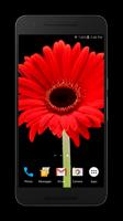 پوستر Blooming Flower Live Wallpaper