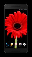 برنامه‌نما Blooming Flower Live Wallpaper عکس از صفحه