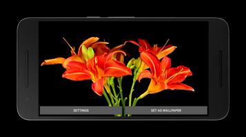 برنامه‌نما Blooming Flower Live Wallpaper عکس از صفحه