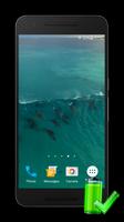 Dolphins Video Live Wallpaper Affiche