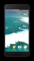 Dolphins Video Live Wallpaper captura de pantalla 2