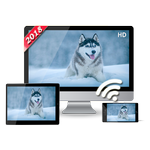 Screen Miracast Display icon