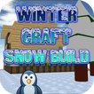 Winter craft snow build