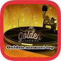 ”Golden Memory Top
