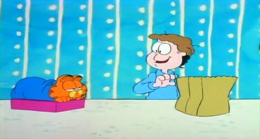 Garfield and friends video poster