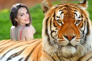 Tiger Photo Frame 포스터