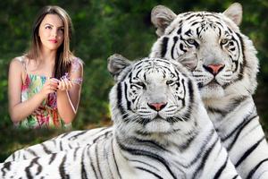 Tiger Photo Frame 스크린샷 1