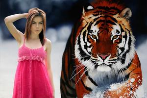 Tiger Photo Frame 스크린샷 2