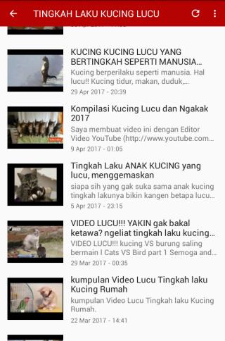 Video Kucing Lucu Terbaru Für Android Apk Herunterladen